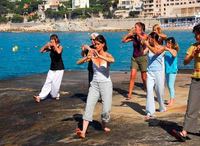 Tai Chi à Cassis festival 2009