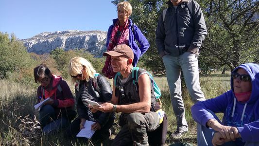 Cueillette sauvage à La Sainte Baume avec Marie Claude Paume