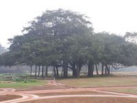 Découvrir Auroville