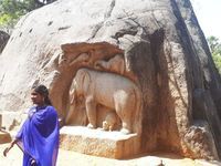 Découvrir Auroville
