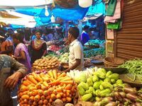 Découvrir Auroville