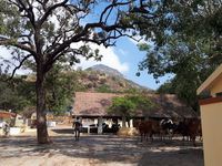 Découvrir Auroville