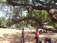 Découvrir Auroville