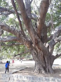 Découvrir Auroville